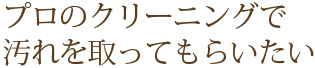 プロのクリーニングで汚れを取ってもらいたい