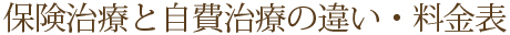 保険治療と自費治療の違い・料金表