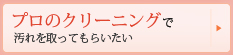 プロのクリーニングで汚れを取ってもらいたい